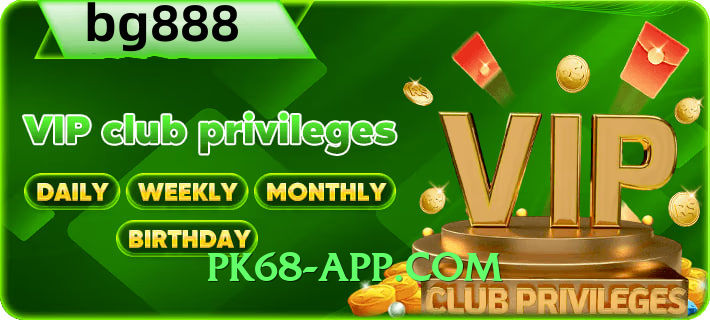 winpkr Expert Interface